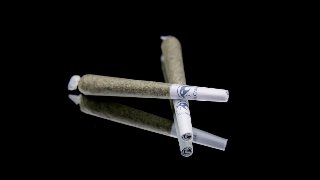 Falcanna hand-packed cannabis prerolls, 2 x 0.6g in biodegradable hemp-paper tubes, Washington State