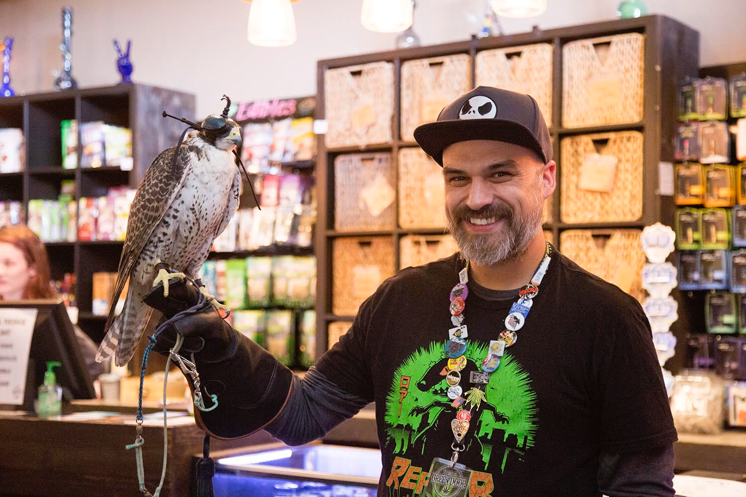 Sky the Saker Falcon, Falcanna raptor rehabilitation program, Olympic Peninsula, Washington