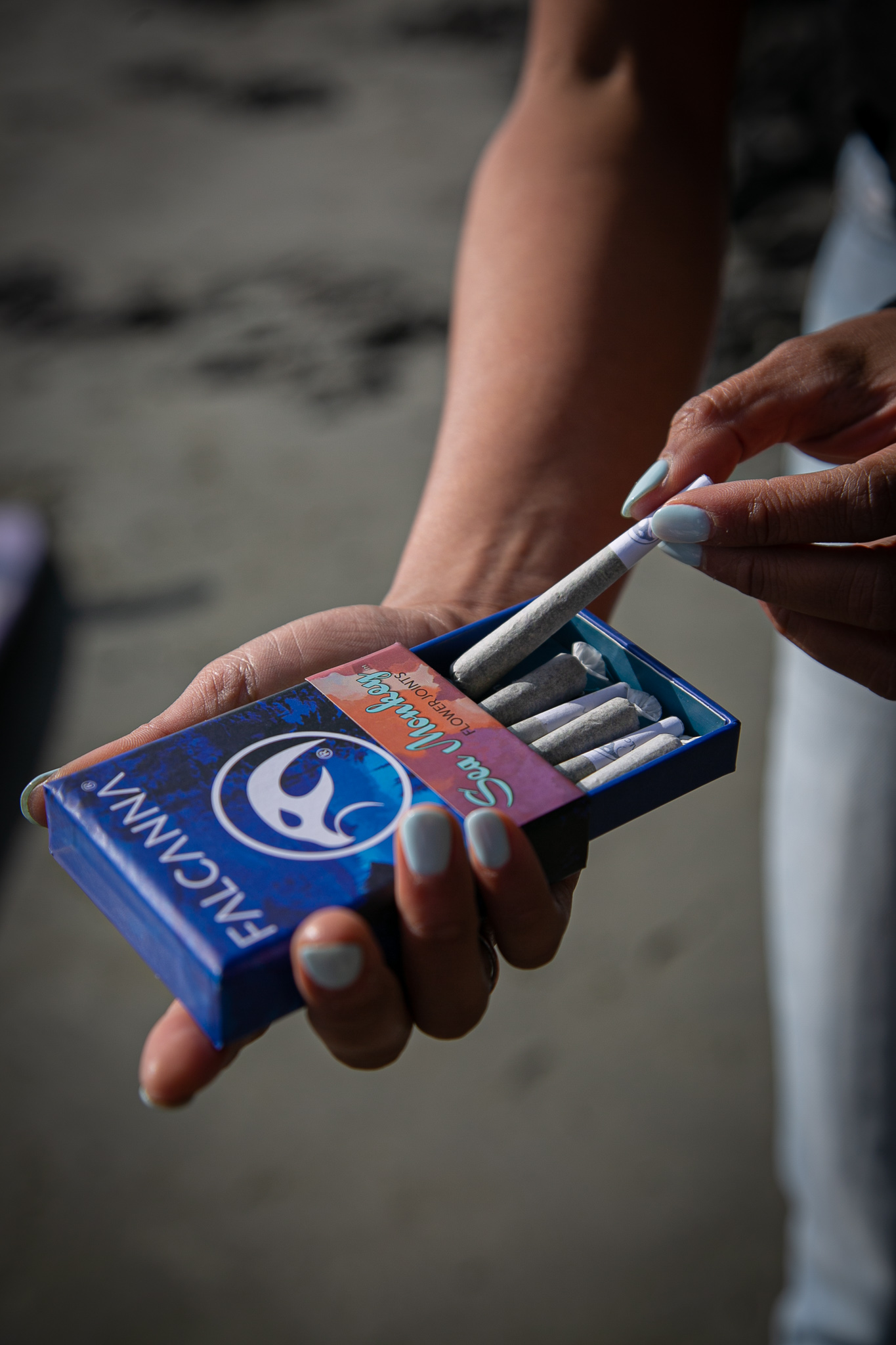 Falcanna hand-packed cannabis joints in biodegradable hemp-paper tubes, Washington State